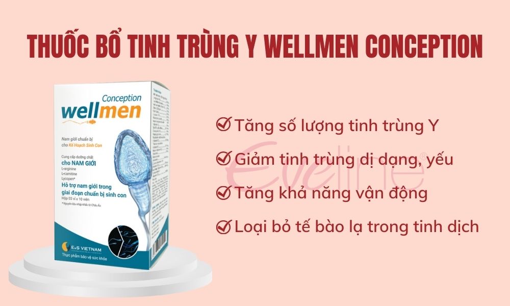 Wellmen Conception giúp tăng số lượng và chất lượng tinh trùng Y sinh con trai