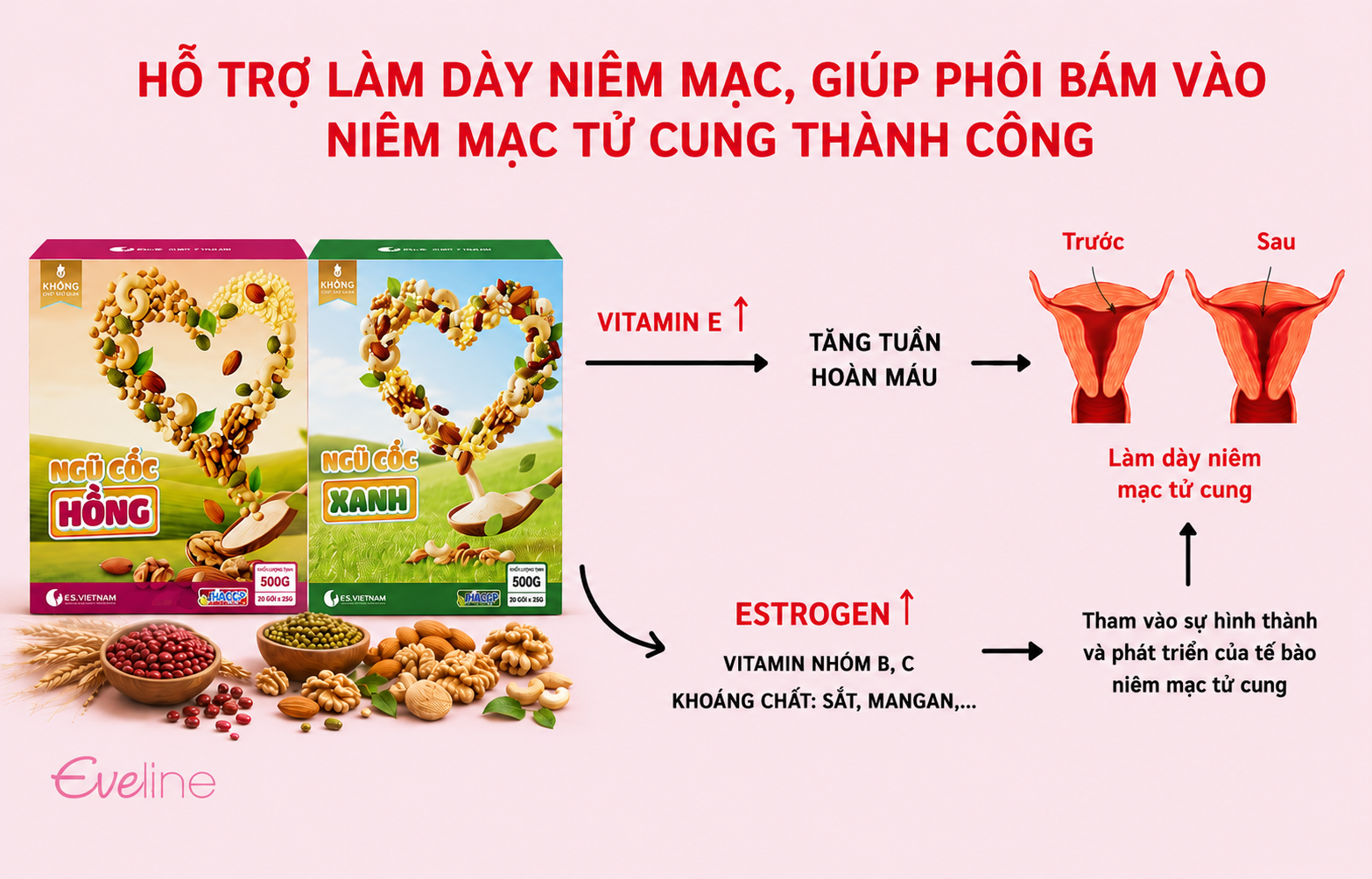 ngu-coc-nhu-y-ho-tro-lam-day-niem-mac