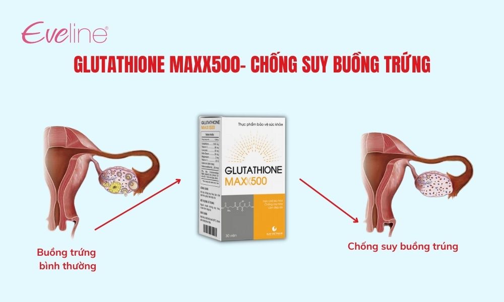 Bổ sung Glutathione Maxx500 giúp ngăn ngừa lão hóa trứng hiệu quả