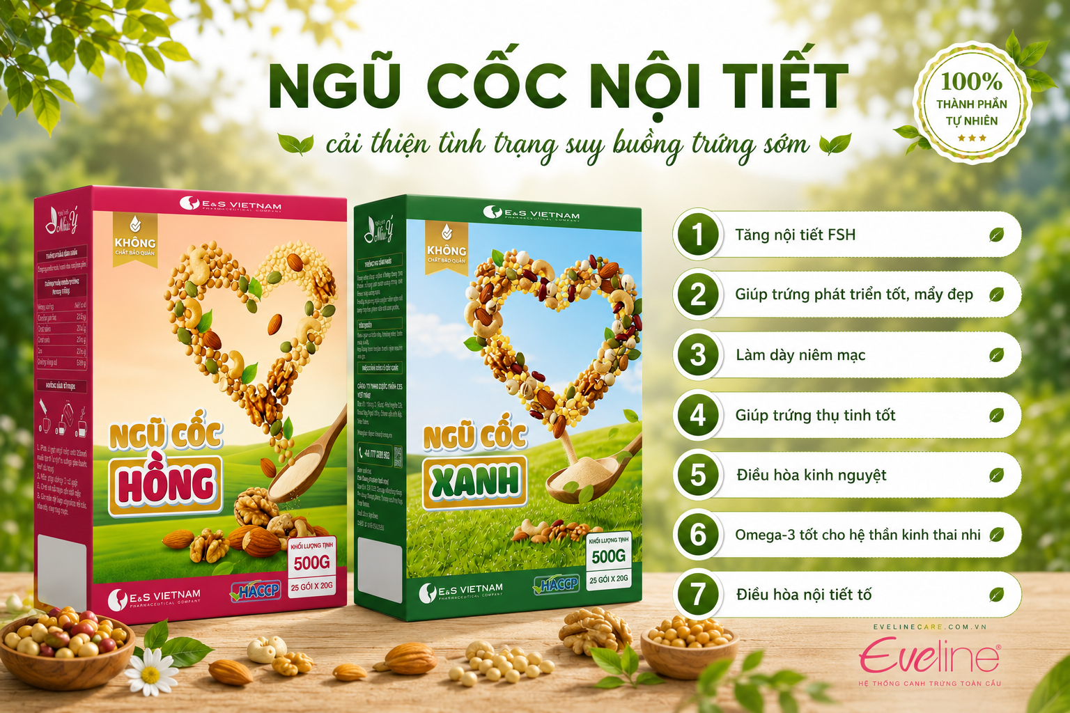 ngu-coc-noi-tiet-ho-tro-cai-thien-suy-buong-trung-som