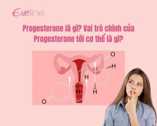 Progesterone là gì. Vai trò của Progesterone đối với cơ thể