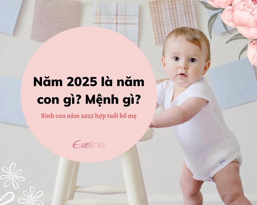 Năm 2025 là năm con gì Sinh con tháng nào hợp tuổi bố mẹ