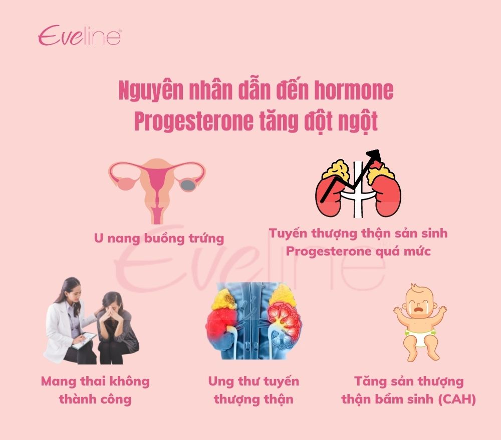 Nguyên nhân hormone Progesterone tăng đột ngột
