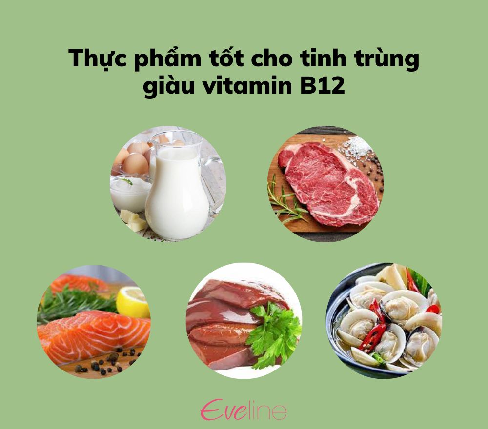 nhung thuc pham tot cho tinh trung giau vitamin B12
