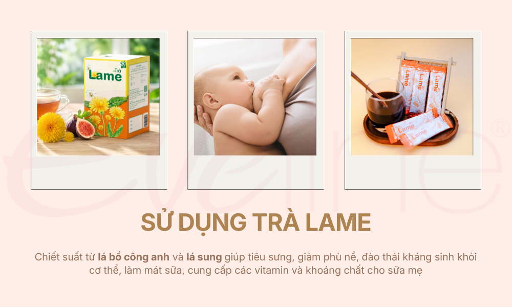 su-dung-tra-lame