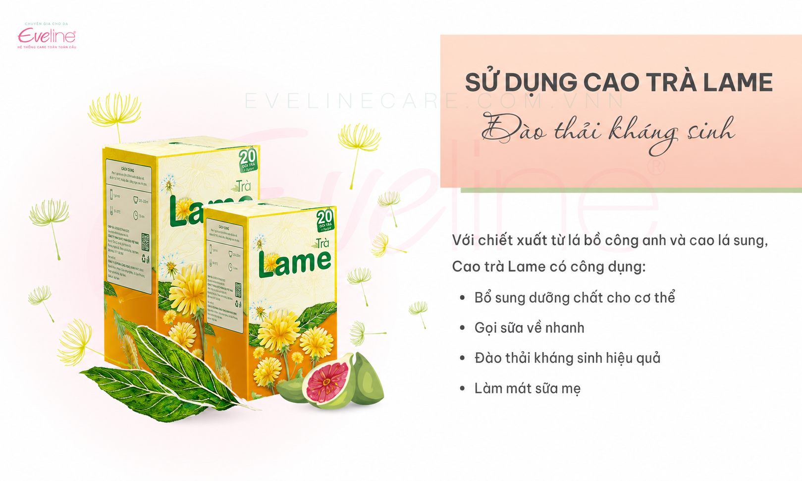 su-dung-tra-lame