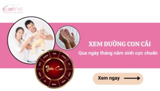 Xem đường con cái qua ngày tháng năm sinh