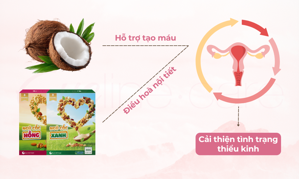 uong-nuoc-dua-va-ngu-coc-noi-tiet