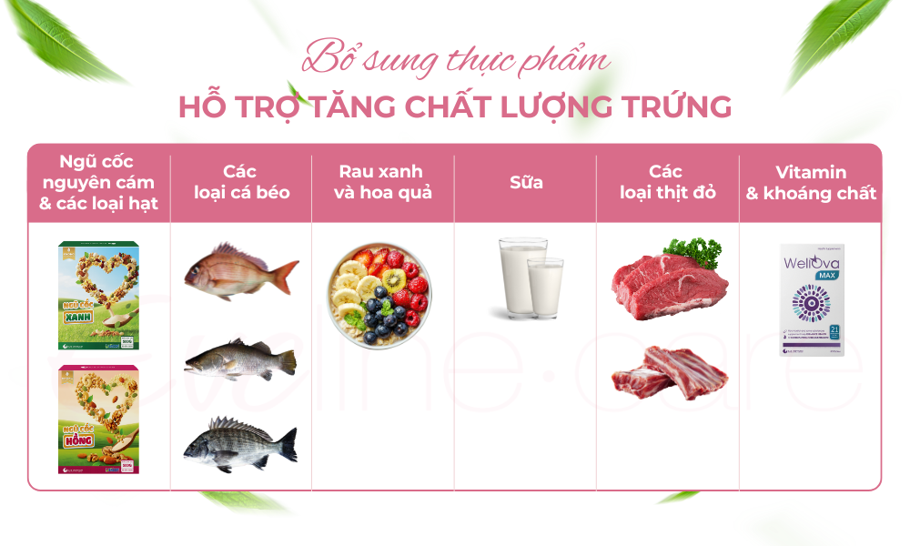 bo-sung-thuc-pham-giup-tang-chat-luong-trung