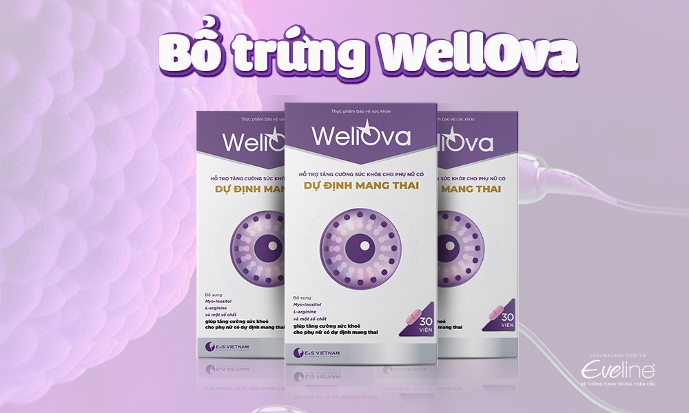 Viên uống bổ trứng WellOva duy trì chất lượng trứng