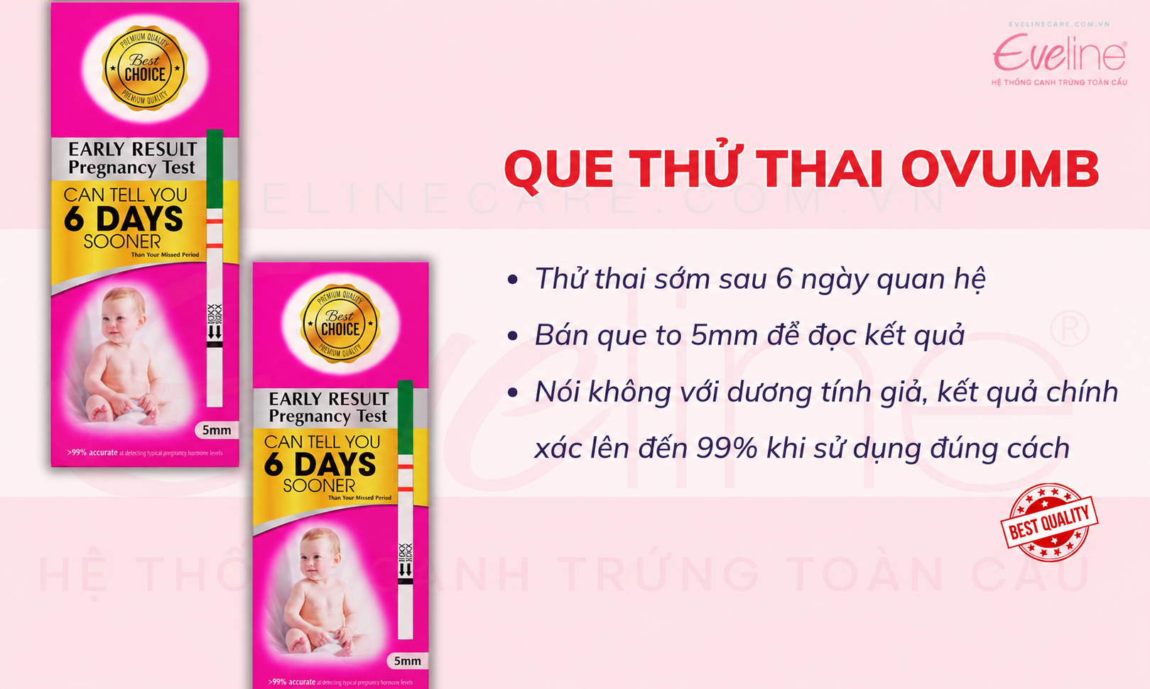 que-thu-thai-som-ovumb