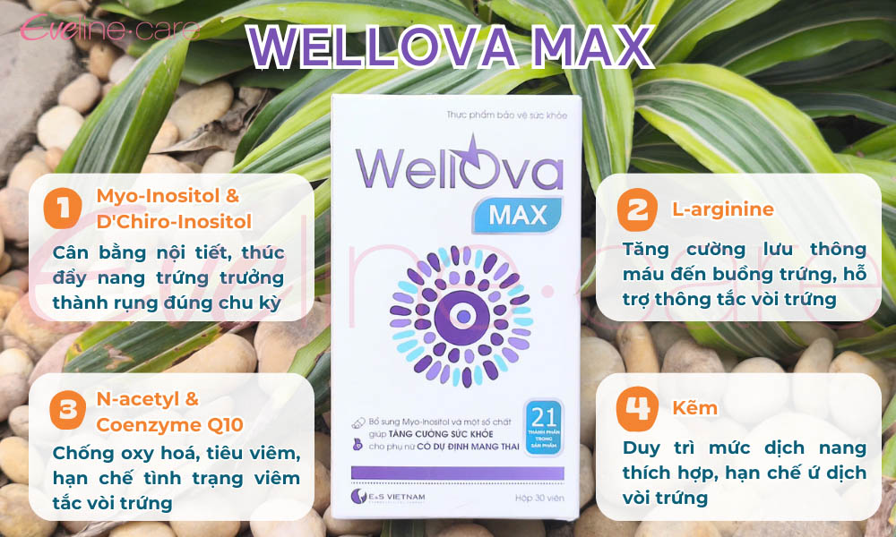 Mẹ bị tắc vòi trứng nên uống gì?