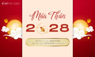 nam-2028-mau-tham