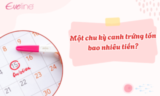 1 chu ky canh trung ton bao nhieu tien
