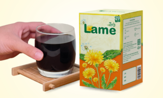 tra-loi-sua-lame