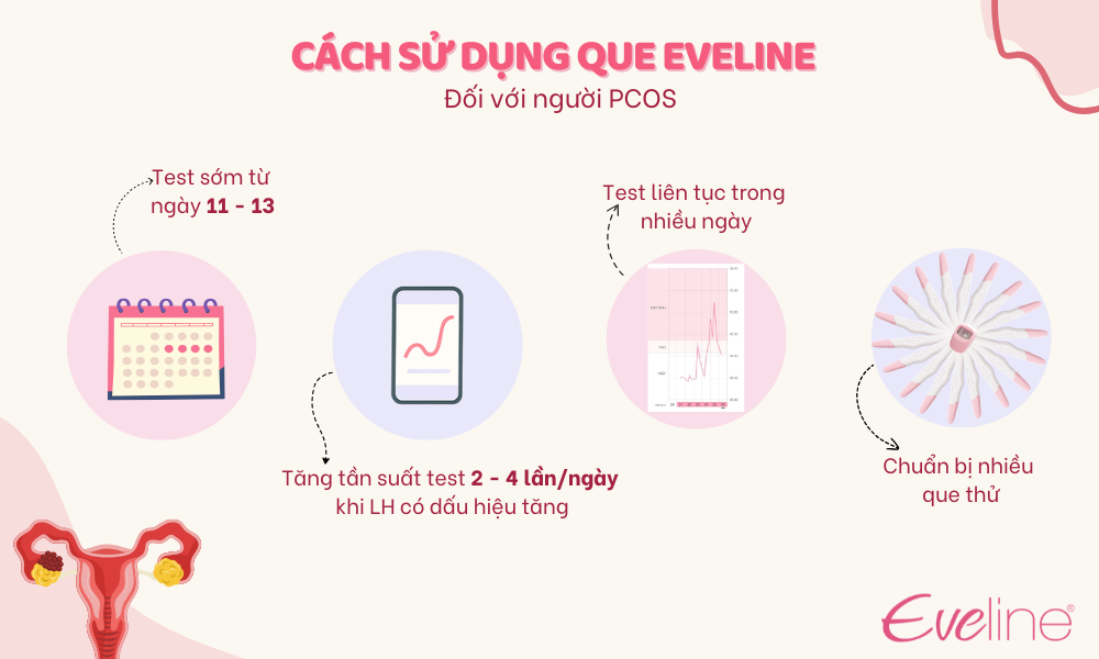 Cách sử dụng que thử rụng trứng điện tử Eveline đối với người bị PCOS