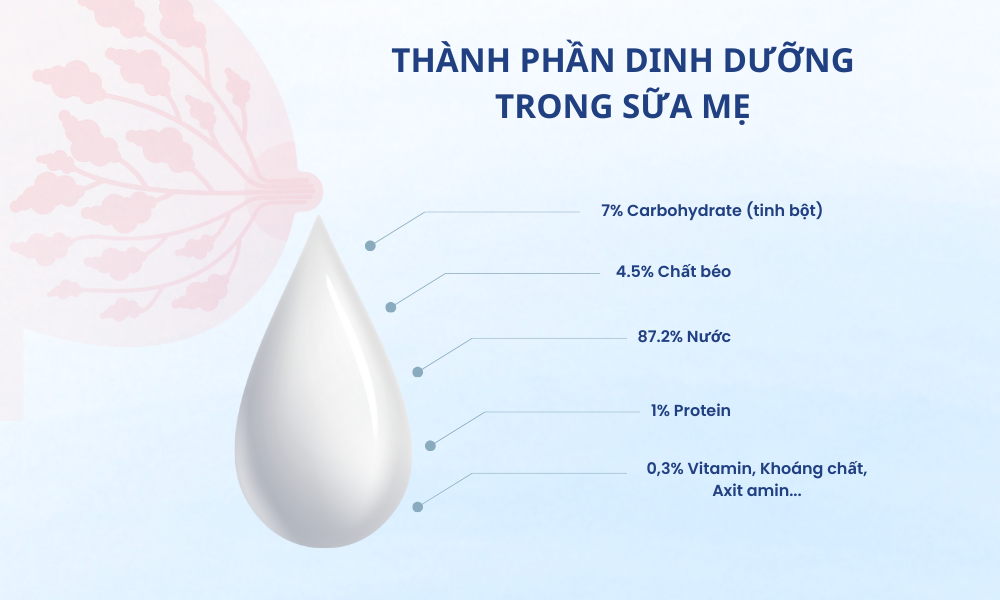 ngu coc loi sua nhu y milky giup me xua tan noi lo thieu sua mat sua 1