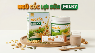ngu-coc-loi-sua-tot-nhat-milky-1