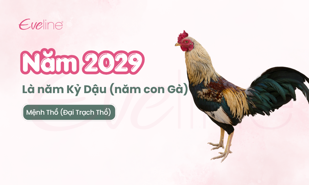 nam 2029 nam gi 2