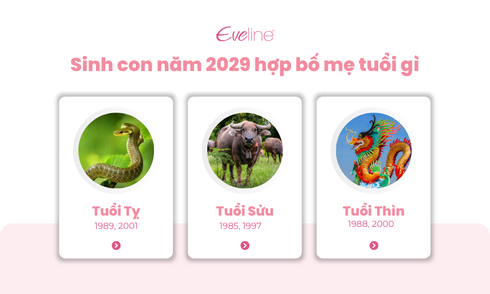 nam 2029 nam gi 4
