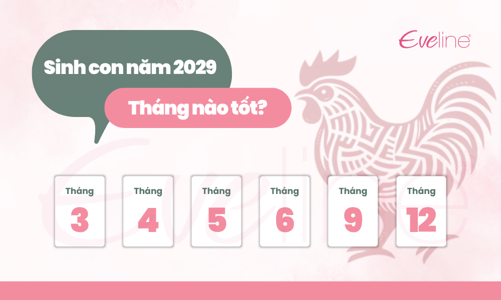 nam 2029 nam gi 5
