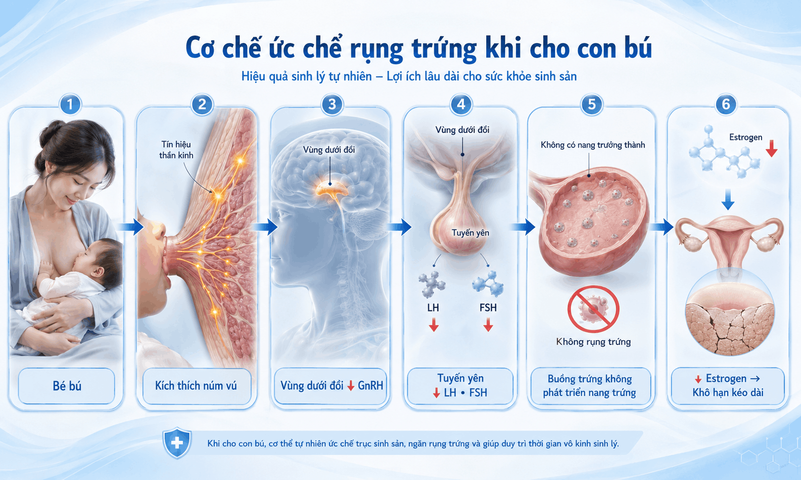 kho han sau sinh keo dai bao lau 1