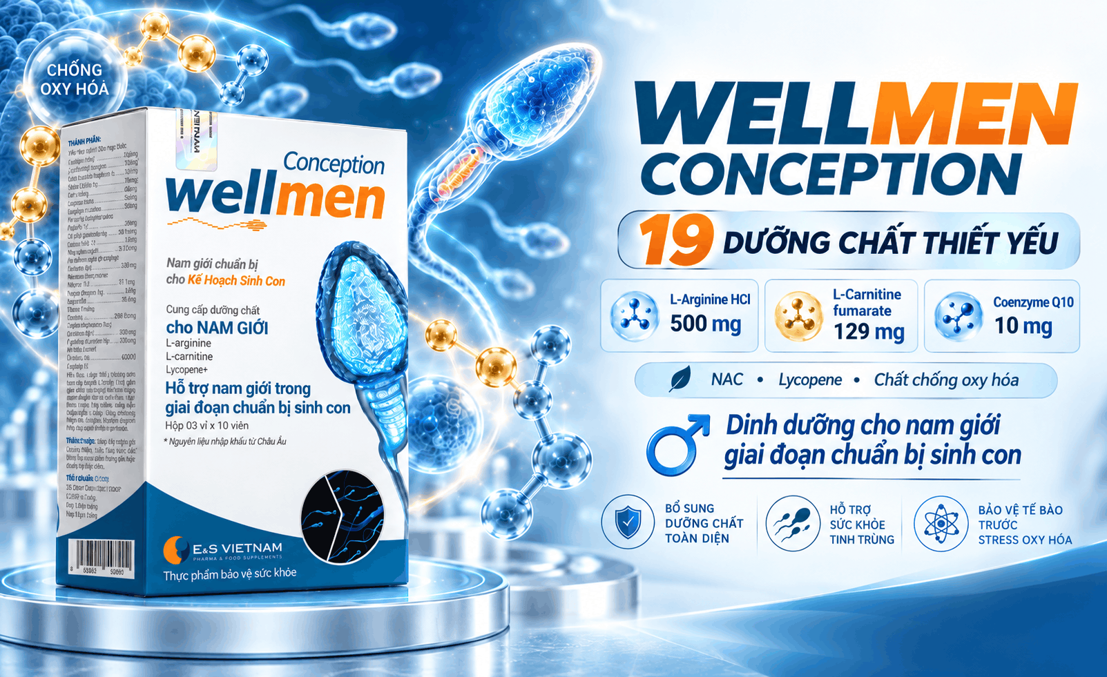 phan bien wellmen conception 1