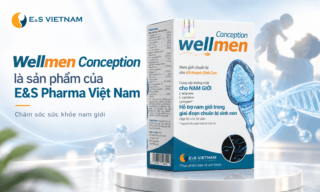 phan bien wellmen conception 4